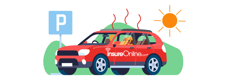 Blog Dog in hot car
